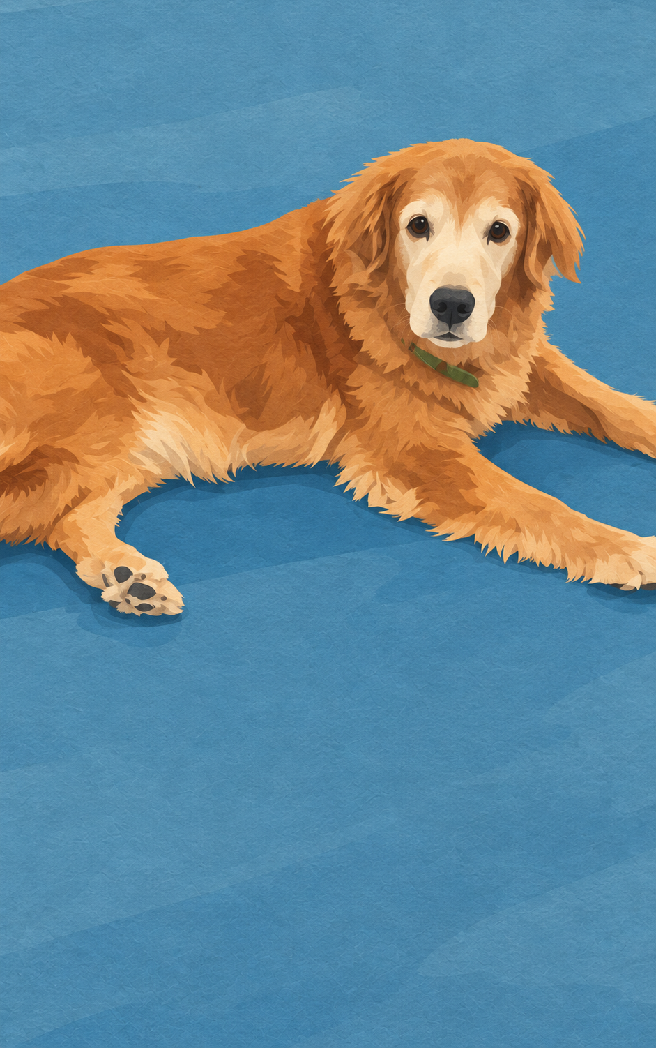 Illustration of a relaxed Seaside boarding guest